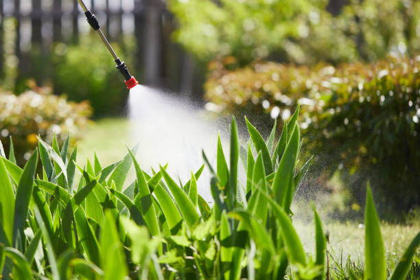 24/7 Emergency Cockroach Control experts in Nellieburg, MS