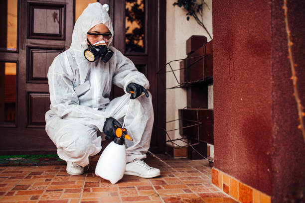Reliable Cockroach Control contractor in Nellieburg, MS by Nex Pest Control