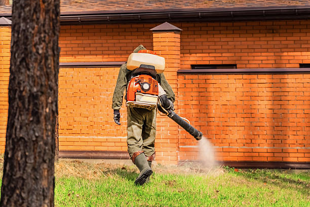 Top rated local Cockroach Control specialists in Nellieburg, MS